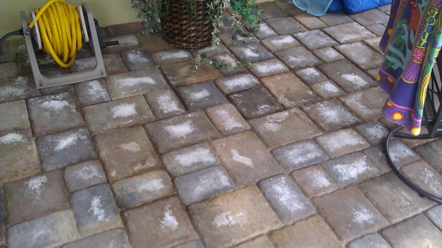 efflorescence-pavers